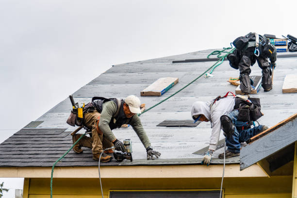 Professional Roofing technician working in Michigan Center, MI